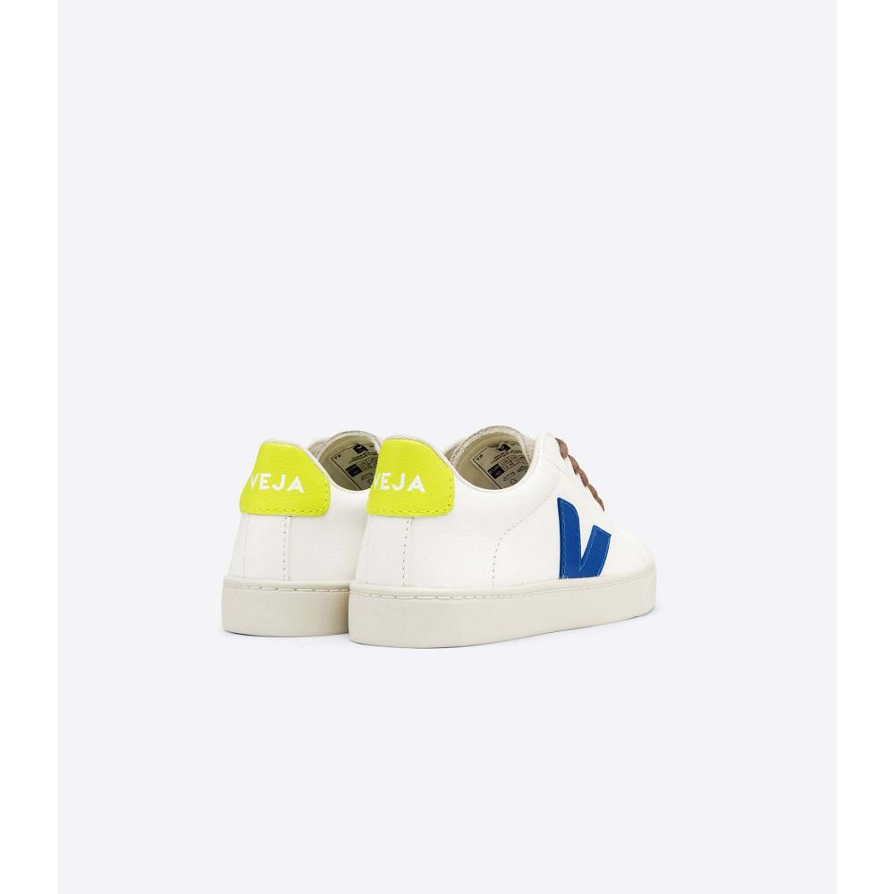 Veja ESPLAR LACES CHROMEFREE Joggesko Barn White/Blue | NO 831FDN